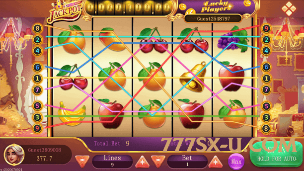 Mega winpkr Screenshot 1